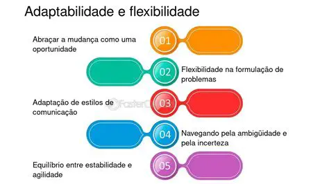 A Teoria da Adaptabilidade