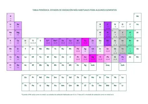 Actividades para seleccionar los elementos y sus valores