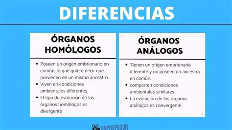 Analogia per similitudinem