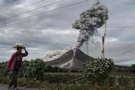 Aspects of Production Forest Land Grants given to Mount Sinabung Refugees