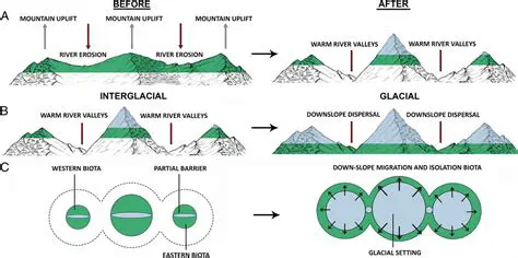 Automatic Biogeographic Isolation