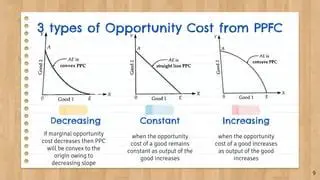 Benefits of the PPC Disclosure Library