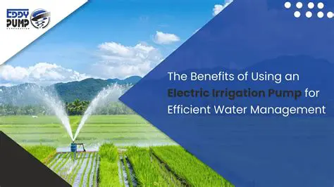 Benefits of Using Picture Pump
