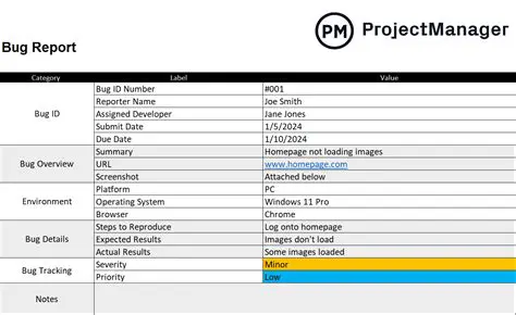 Best Practices for Bug Finding