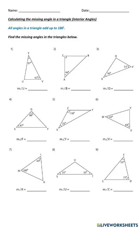 Calculating the Missing Angle