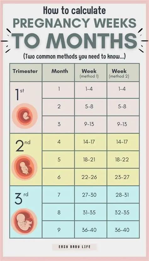 Calculating the Number of Weeks