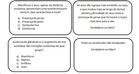 Como identificar as respostas corretas em direito