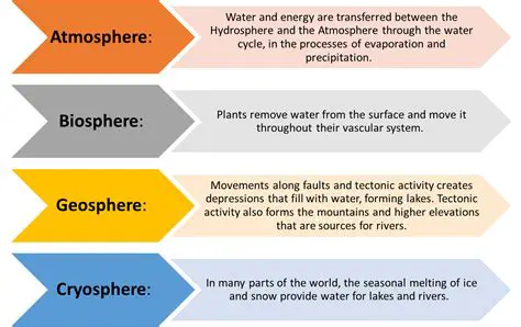Components of the Hydrosphere