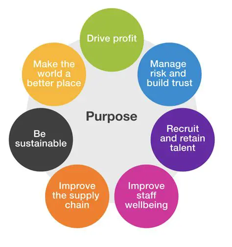 Consider the purpose of your project