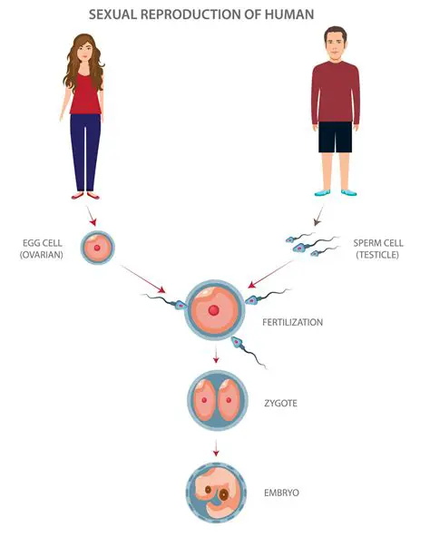 Context and Steps to Reproduce