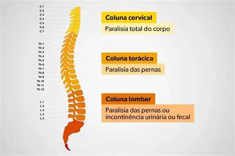 Crie uma coluna para cada categoria