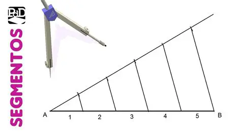 Dibuja el segmento de 8 cm