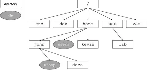 Directory Structure Analysis