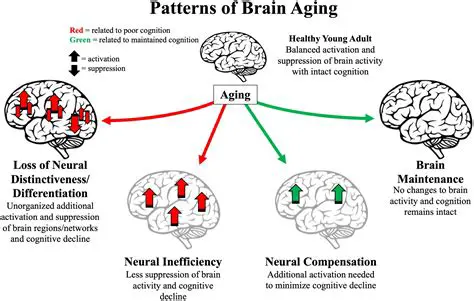 Drowsiness and impaired cognitive function