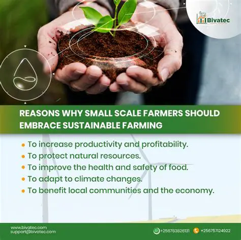 Efforts Made by Farmers to Increase Income