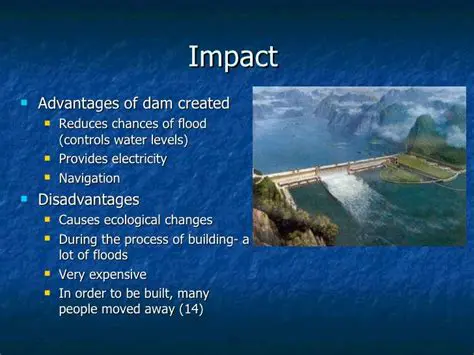 Evidence of the Environmental Impact of Dams