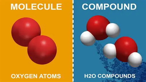 Examples of Compound Molecules