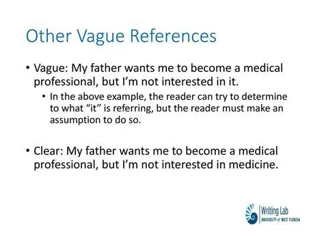 Examples of Vague References