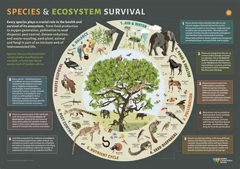 Factors and Conditions that Allow Plants and Animals to Live in the Ecosystem
