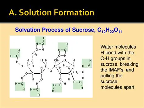 How to Identify the Type of Solution Using Diagrams