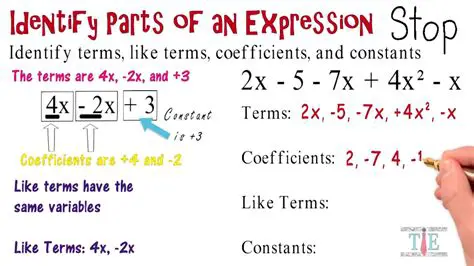 Identify the terms of the expression