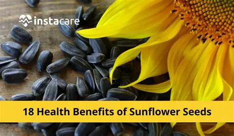 Importance of Sunflower and Paddy Plants