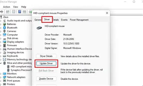 Incompatible mouse drivers