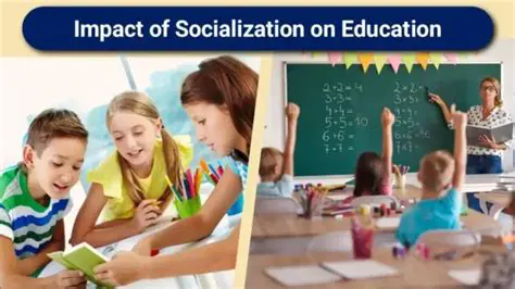 Increase socialization and education programs