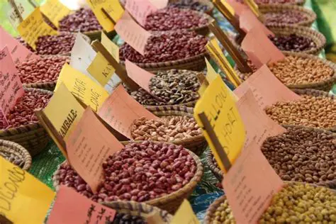 Increasing Access to Quality Feed