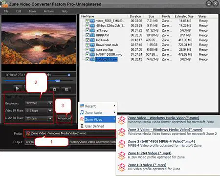 Key Features of Digigenius Video to Zune Converter