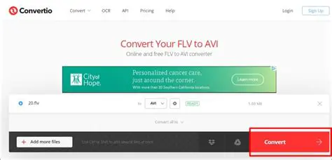 Key Features of Idealoy FLV to AVI Converter
