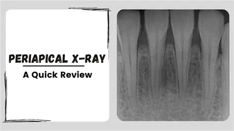 Key Features of Intral Lux