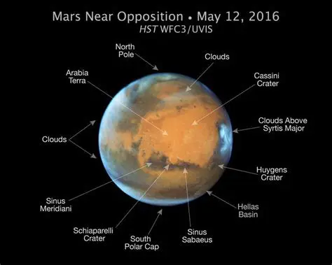 Key Features of MARS FreeView