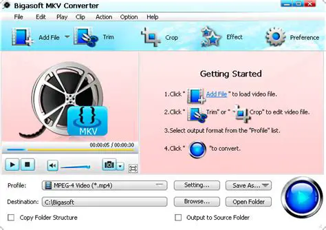 Key Features of MediaVideoConverter MKV Converter