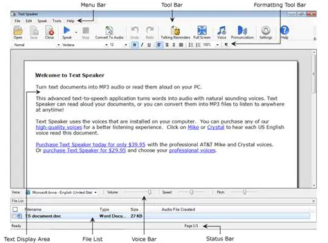 Key Features of Text Speaker