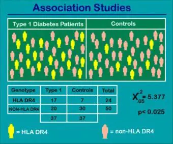 Key Features of the Roche Genetics Education Program Presentation Tool