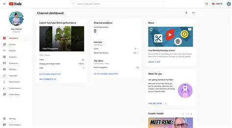 Key Features of VideoZilla
