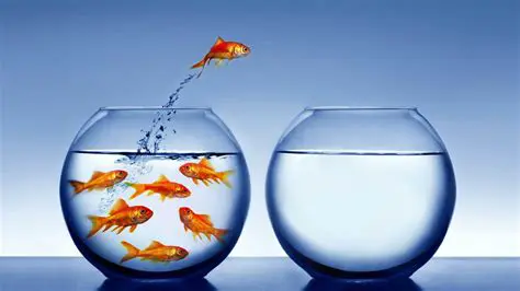 La naturaleza de la vida es cambiar