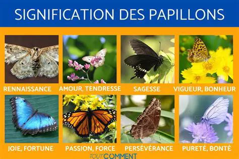 La Signification du Chapitre