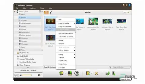 Overview of ImTOO PodWorks