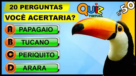 Perguntas e Respostas sobre a Fantasia