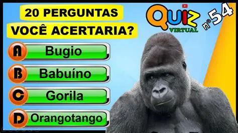 Perguntas e Respostas sobre Acordos Extrajudiciais
