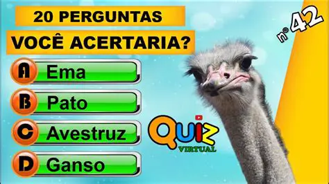 Perguntas e Respostas sobre Mapa de Risco