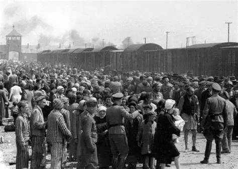 Preguntas y Respuestas sobre el Holocausto y las Violaciones de Derechos Humanos