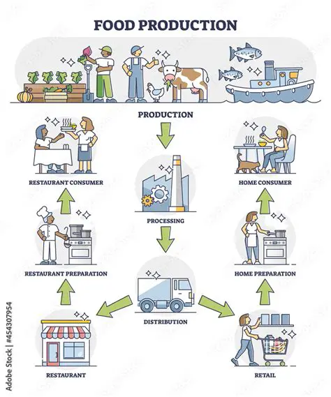 Production and Distribution