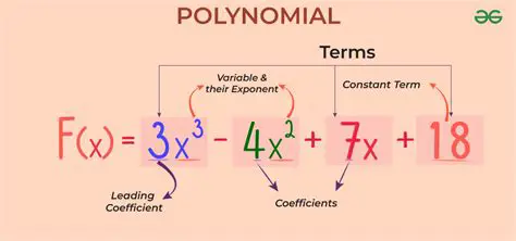 Properties of Polynomial Functions with Rational Coefficients