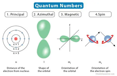 Quantum Numbers and Their Significance