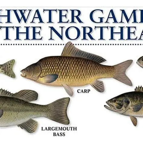 Species of Freshwater Fish in Canada