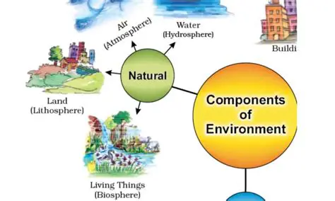 Specify some data of the environment