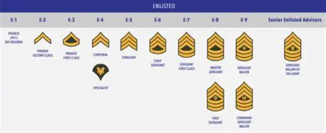 Streamlining in the Number of Ranks in a Department